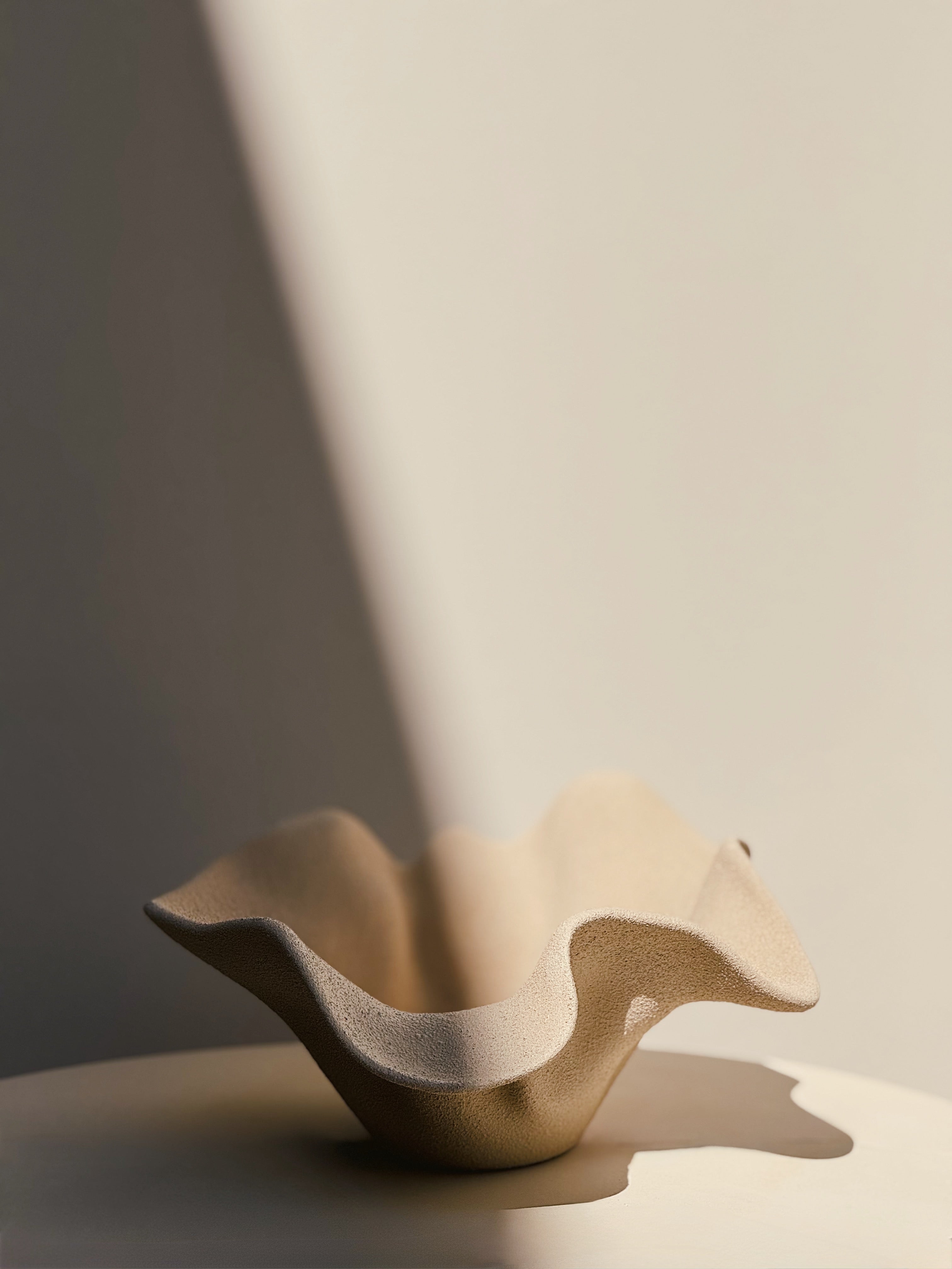 Organic Decorative Bowl